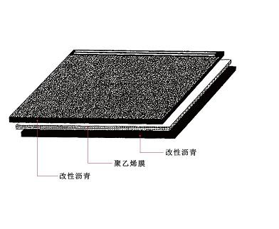 SBS�͸����̸��������ˮ����